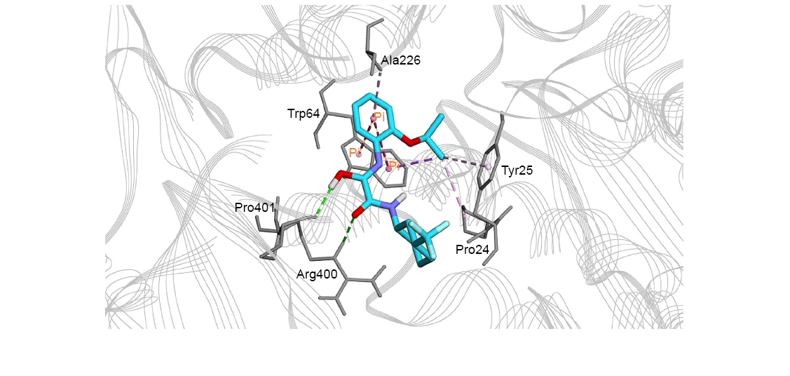 Virtual Screening Research